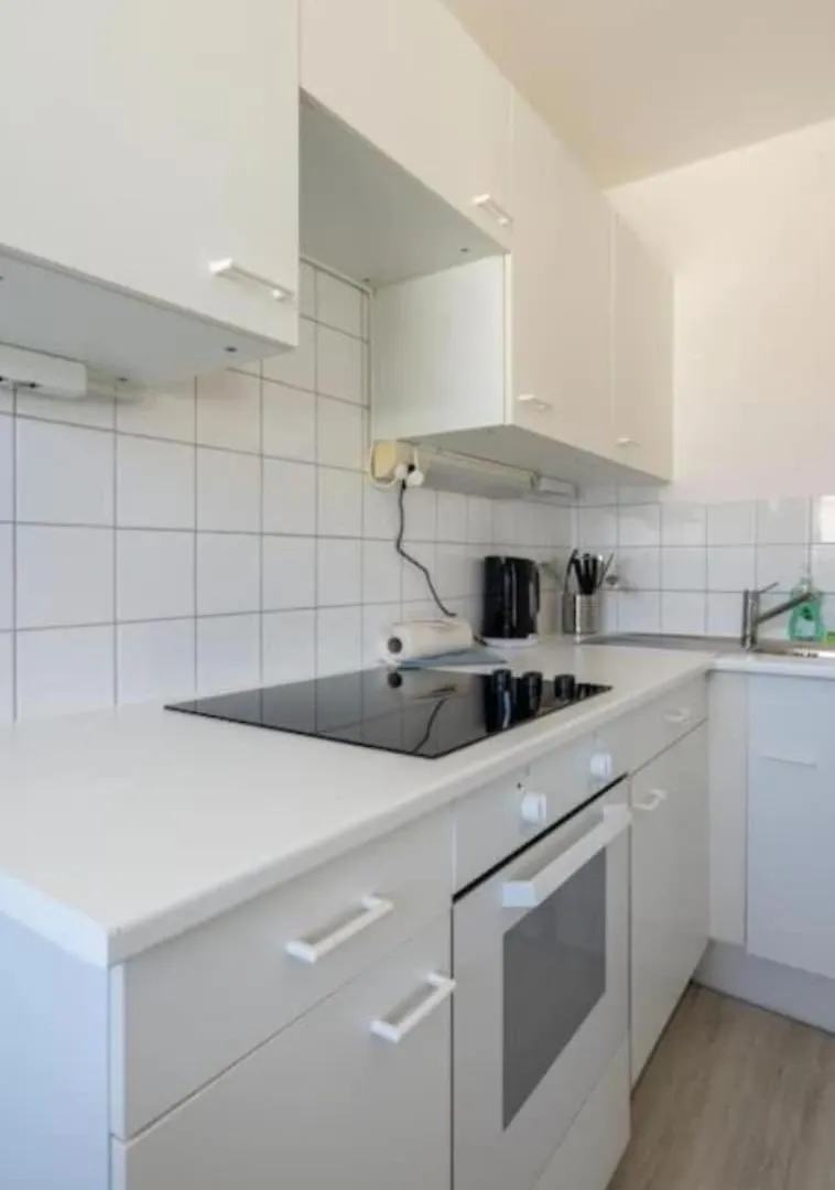 Charming Long-Term Belvedere Apartment Austria